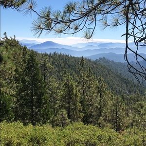 Meet your Posher, Shane